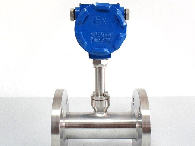 熱式氣體流量計在氮氣測量中遇到的常見故障