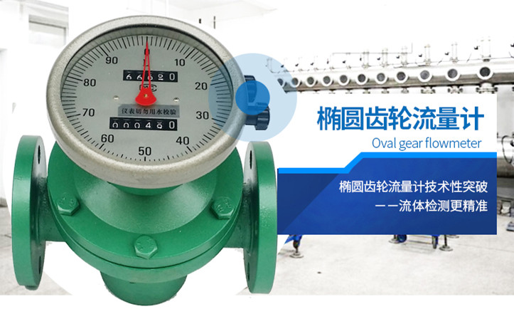 橢圓齒輪流量計(jì)33333